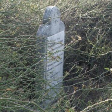 Free State, REITZ district, Steyldrif 1034, farm cemetery