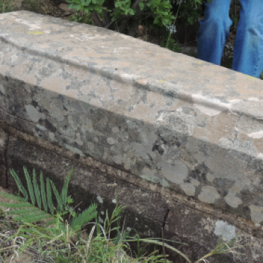 BRUWER Abraham H. 1891-1920