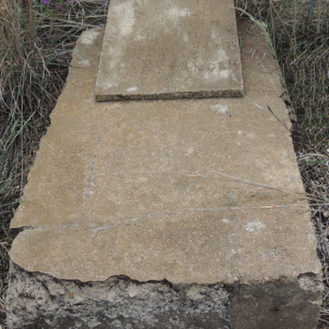 STANDER Elizabeth 1943-1944