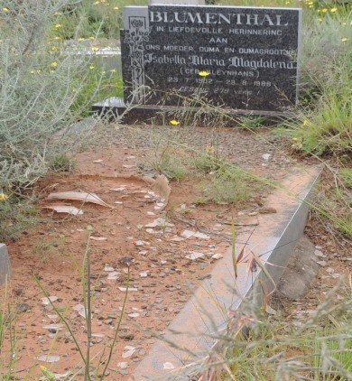 BLUMENTHAL Isabella Maria Magdalena nee KLEYNHANS 1902-1988