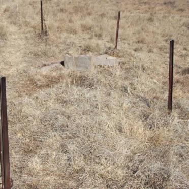 Free State, REITZ district, Uitkomst 823, farm cemetery