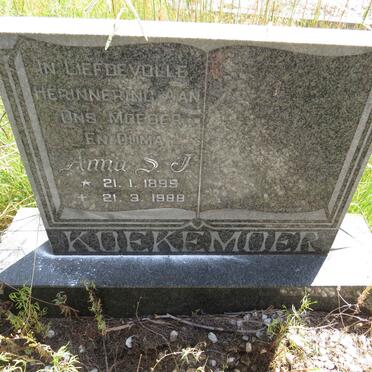 KOEKEMOER Anna S.J. 1899-1988