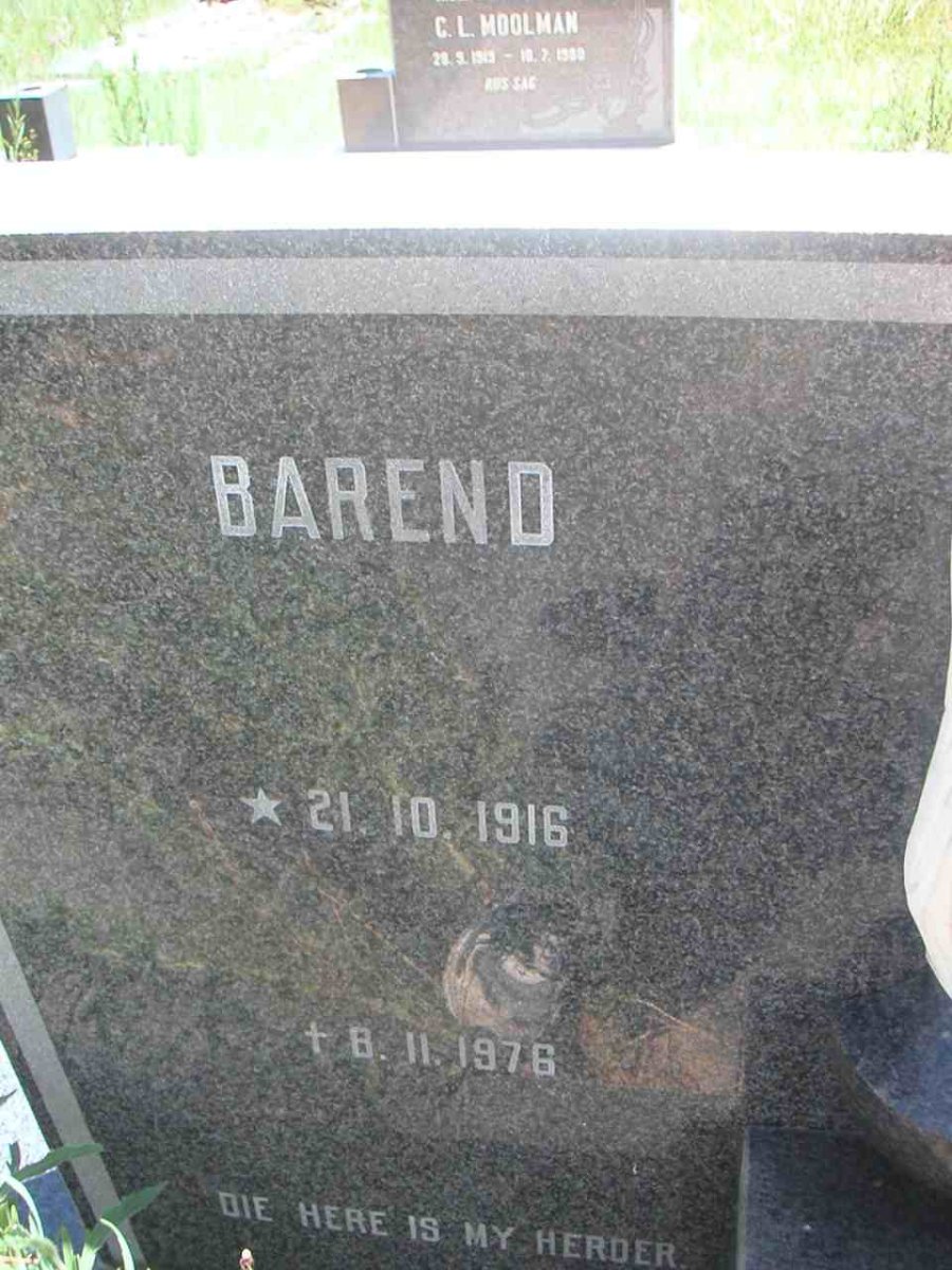 JOHNSON Barend 1916-1976