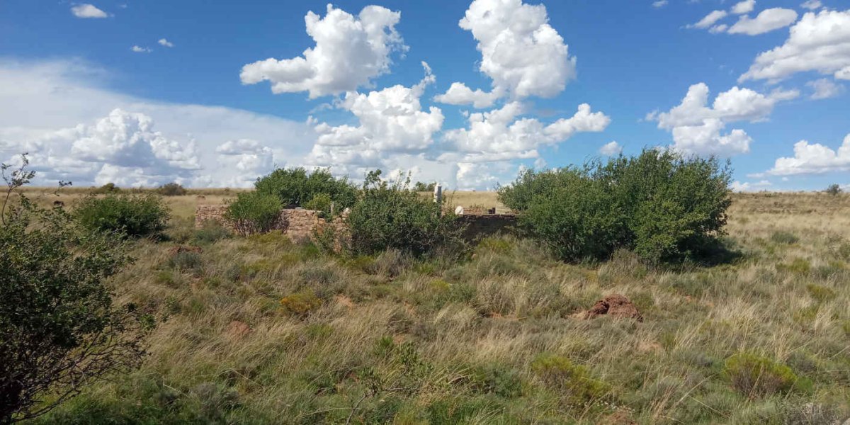 3. Overview / Oorsig