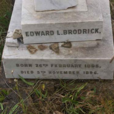 BRODRICK Edward L. 1895-1896