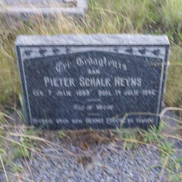 HEYNS Pieter Schalk