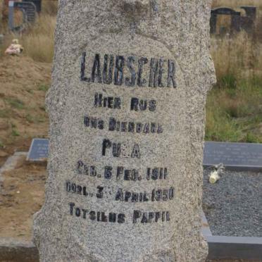 LAUBSCHER Pu?a 1911-1950