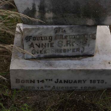 R - Vanne :: Surnames - R