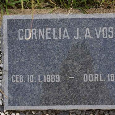 VOSLOO Cornelia J.A. 1889-1968