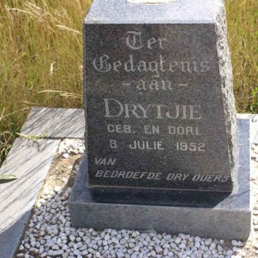 ?? Drytjie 1952-1952