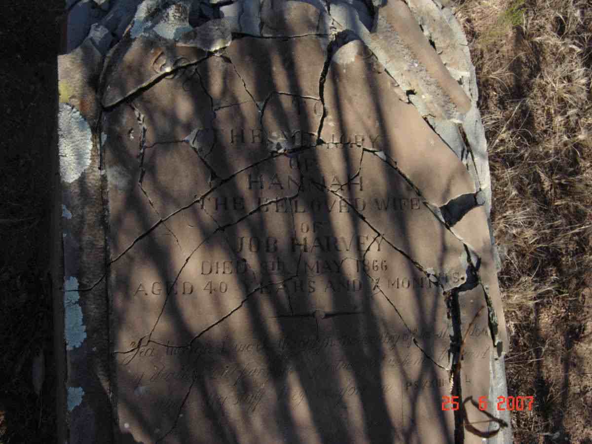 HARVEY Hannah  -1866
