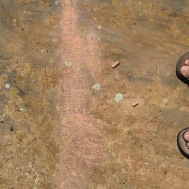 LAMBLE Stanley Valantine Thomas 1882-1901