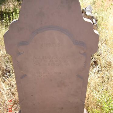 DUVENAGE A.J. 1891-1916