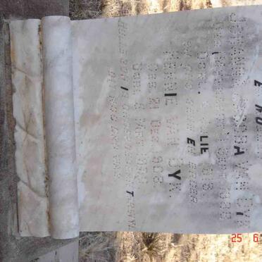 DYK Johanna Jacoba, van nee MYNHARDT 1888-1913 :: VAN DYK Hennie 1908-1930