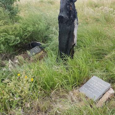 Free State, SASOLBURG district, Sasolburg, Driefontein 2, farm cemetery_02