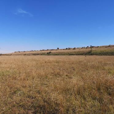 Free State, SASOLBURG district, Clydesdale, Rietfontein 150, cemetery