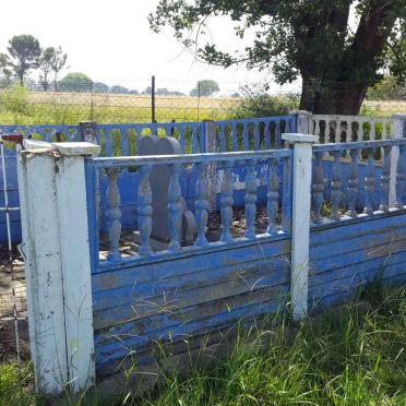 1. Oorsig / Overview