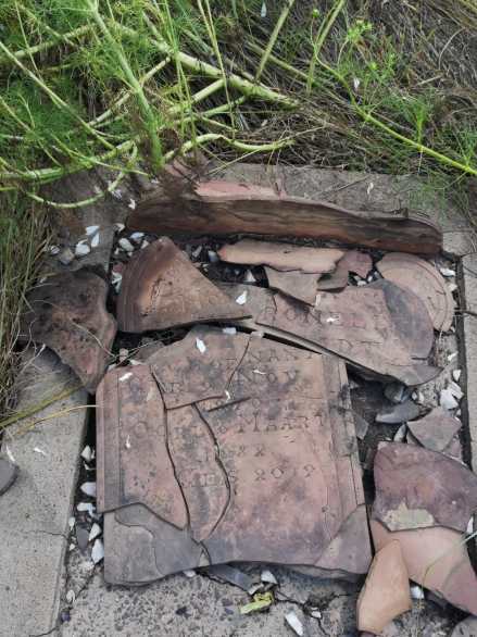 STADT Anna Petronella, van de nee SCHOEMAN 1870-1932