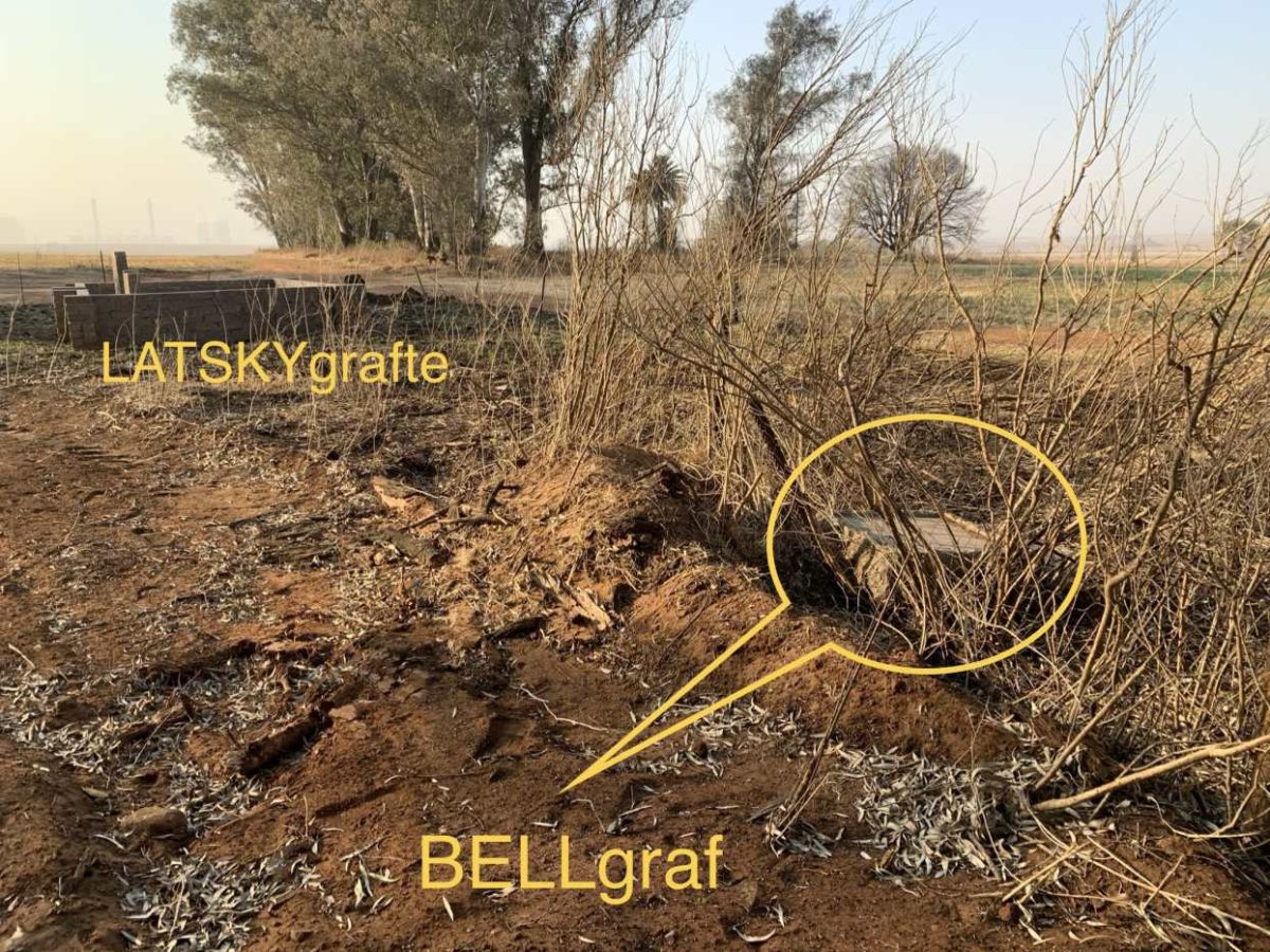 4. Position of BELL and LATSKY graves