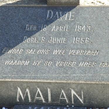 MALAN Davie 1943-1956