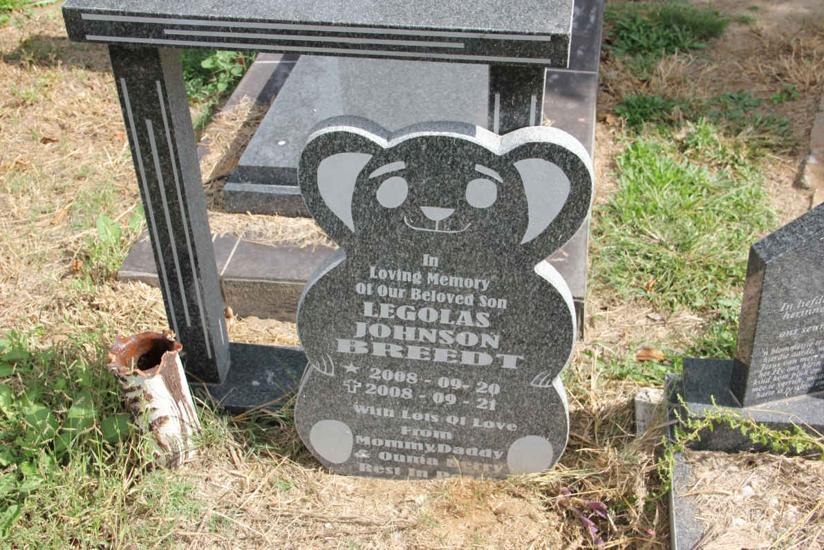 BREEDT Legolas Johnson 2008-2008