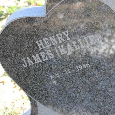 CARLSEN Henry James 1946- &amp; Lou Anne Shereen 1967-2010