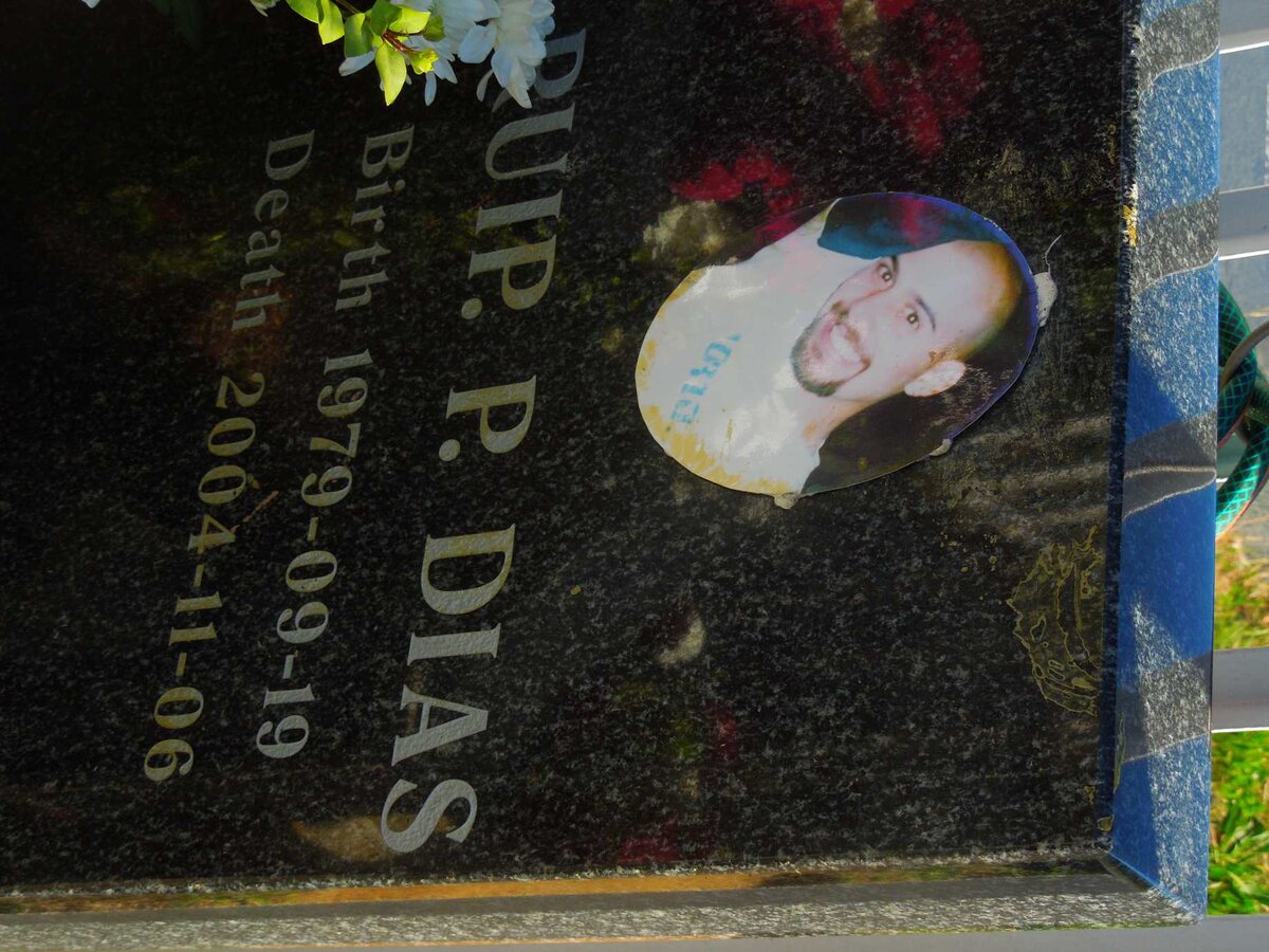 DIAS Ruip P. 1979-2004