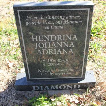 DIAMOND Hendrina Johanna Adriana 1956-2009
