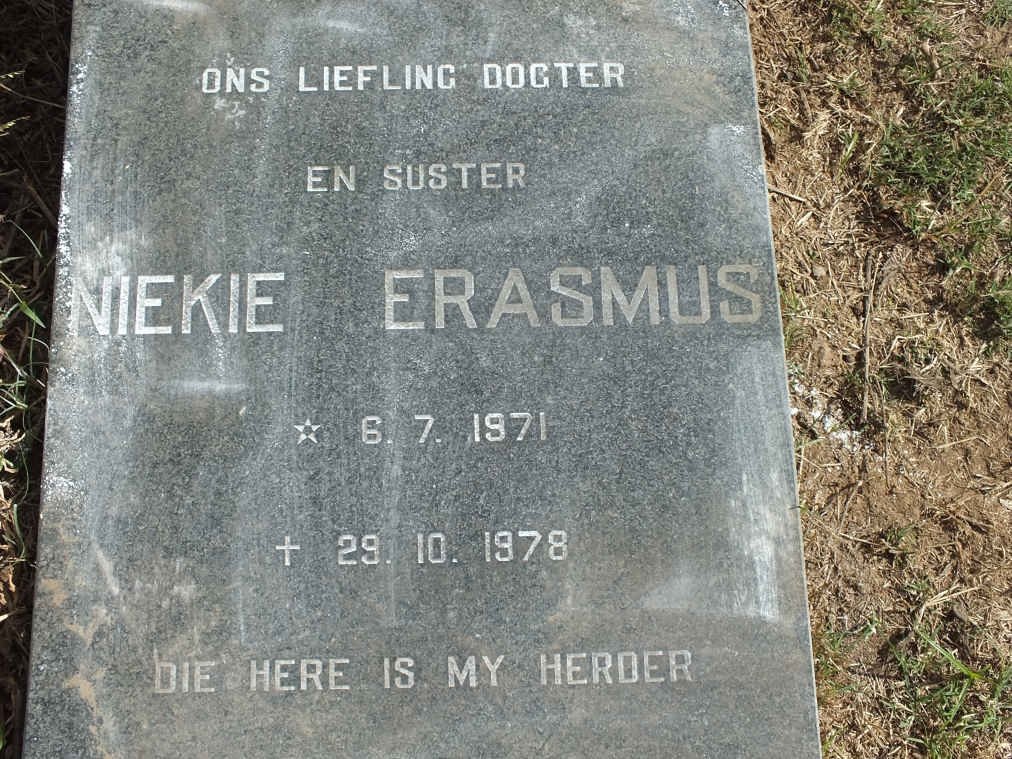ERASMUS Niekie 1971-1978