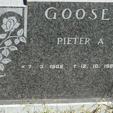 GOOSEN Pieter A. 1905-1980