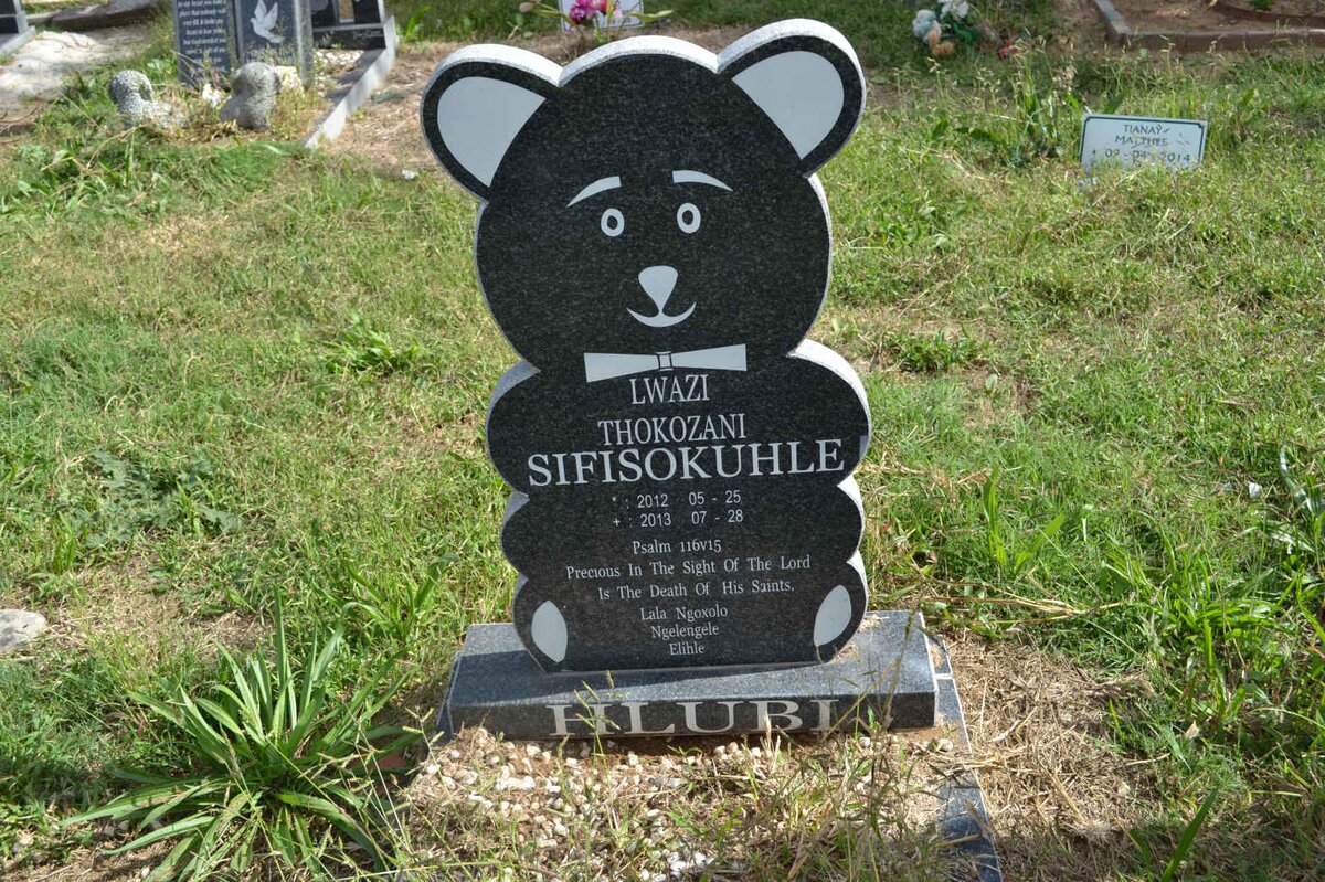 HLUBI Thokozani Sifisokuhle 2012-2013