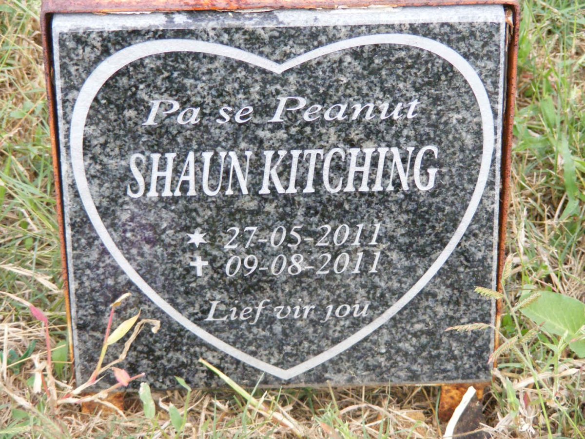 KITCHING Shaun 2011-2011