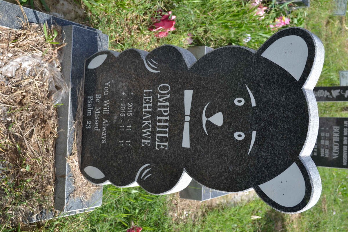 LEHAKWE Omphile 2015-2015