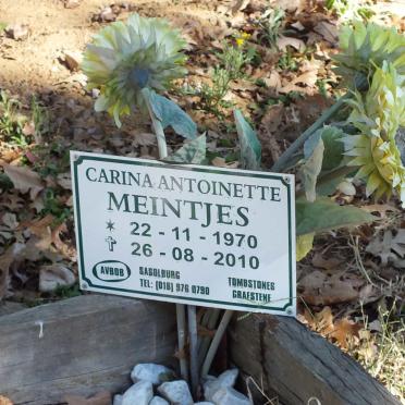 MEINTJES Carina Antoinette 1970-2010