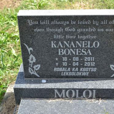 MOLOI Kananelo Bonesa 2011-2012