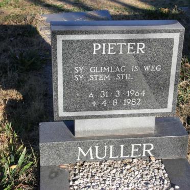MULLER Pieter 1964-1982
