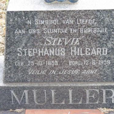 MULLER Stephanus Hilgard 1955-1959