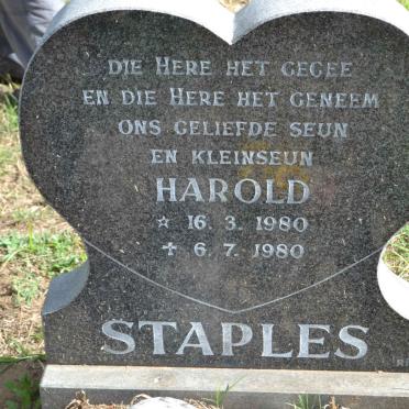 STAPLES Harold 1980-1980