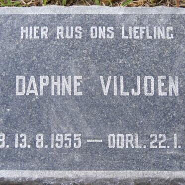 VILJOEN Daphne 1955-1956
