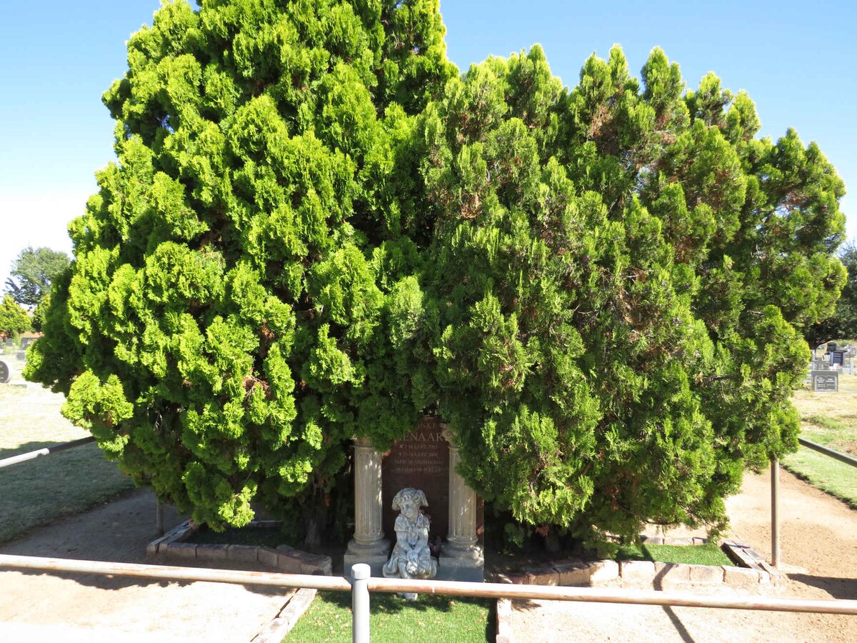 PIENAAR Marinka 2003-2003 _1