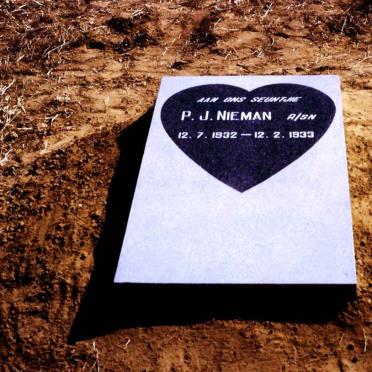 NIEMAN P.J. 1932-1933