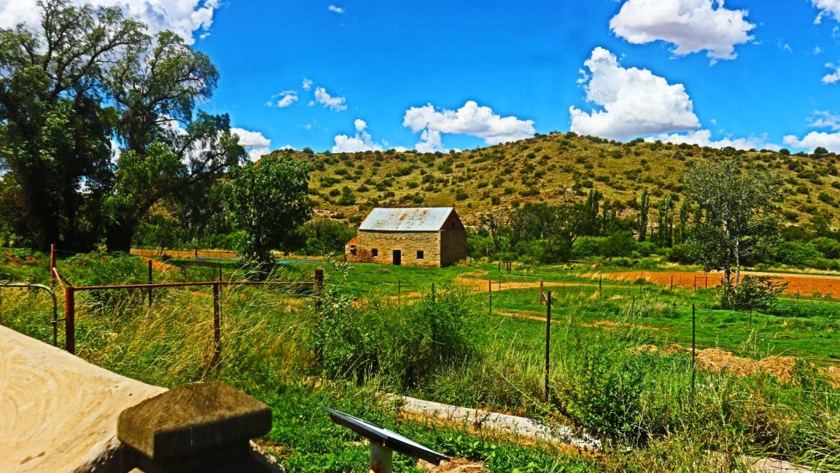 2. Overview of Cemetery