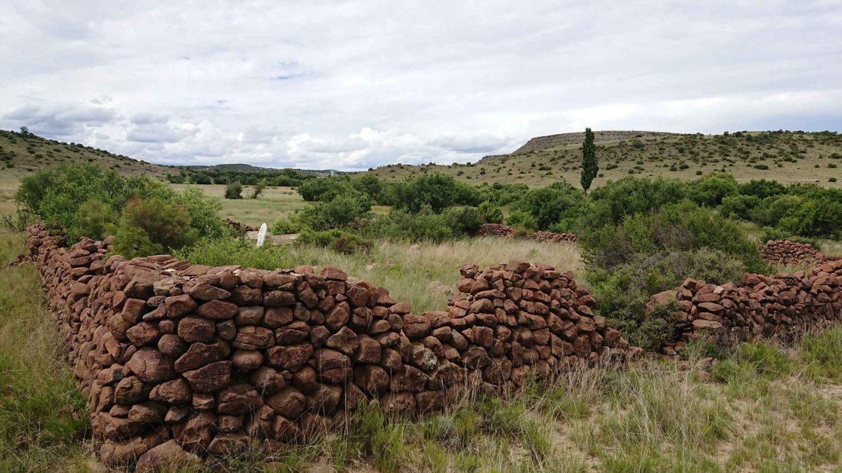 2. Overview / Oorsig