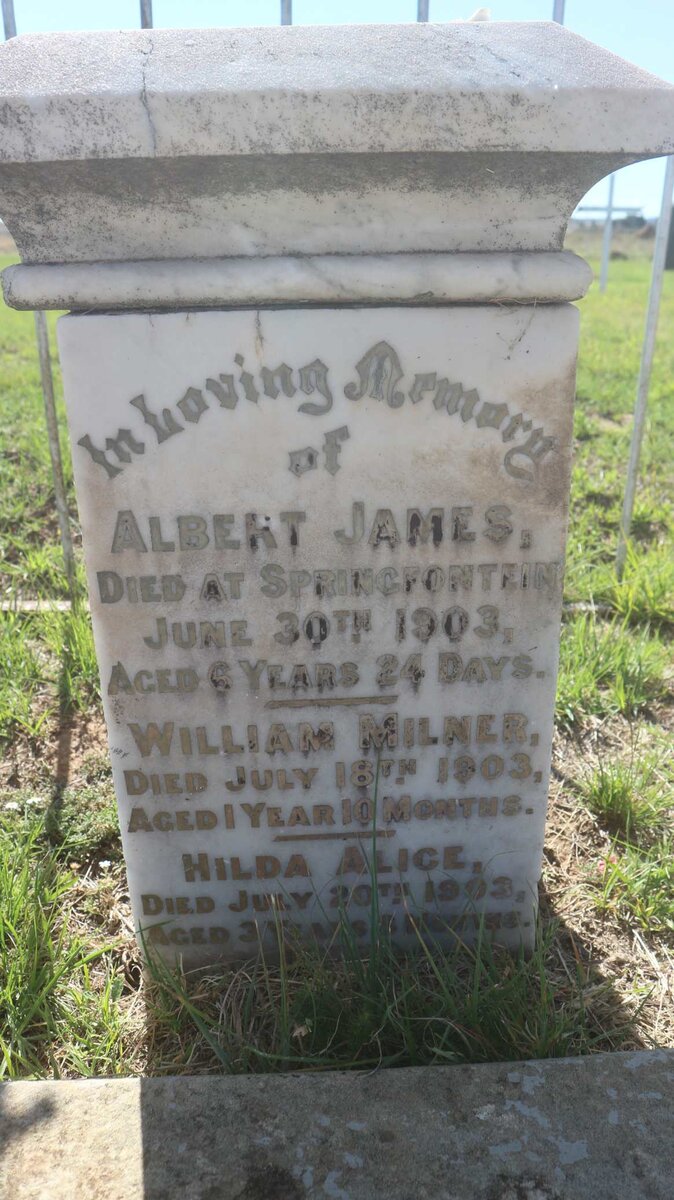 CARRICK Albert James -1903 :: CARRICK Hilda Alice -1903 :: CARRICK William Milner -1903