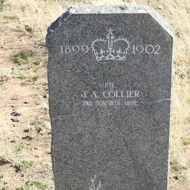 COLLIER J.A.