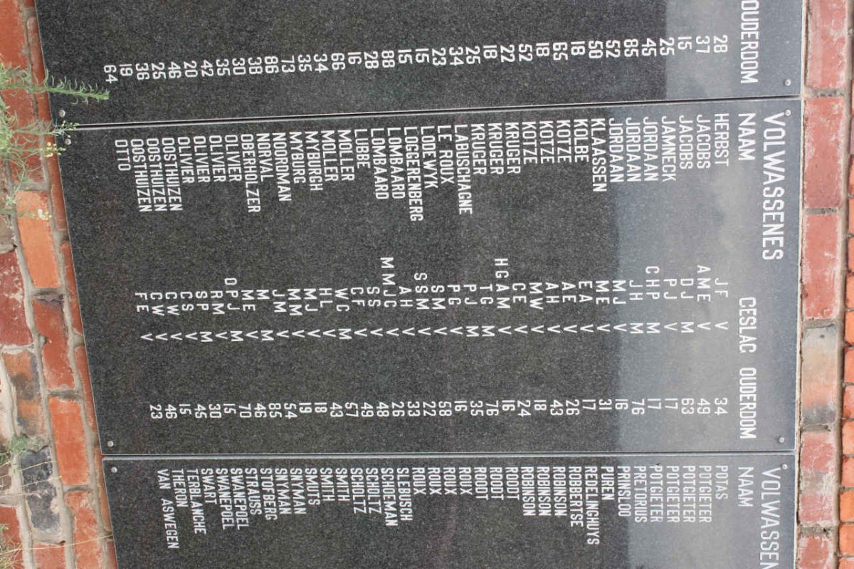 VOLWASSENES: HERBST - OTTO