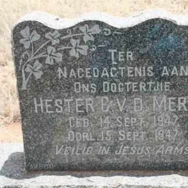 MERWE Hester C., v.d. 1947-1947