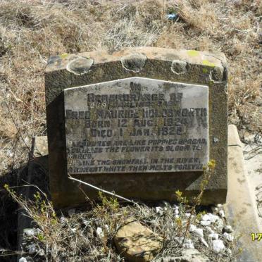 HOLDSWORTH Fred Maurice 1924-1925