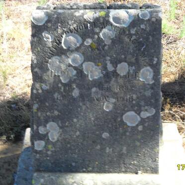 SCHUTTE Dirk J.B. 1885-1918