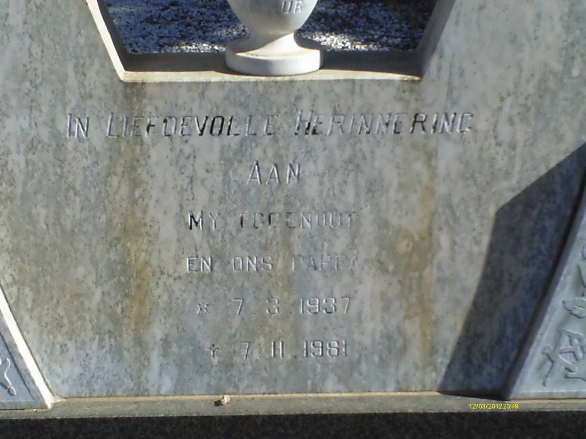 COETZEE Piet 1937-1981